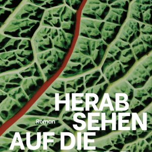 Yannick Labbé - "Herabsehen auf die DDR"